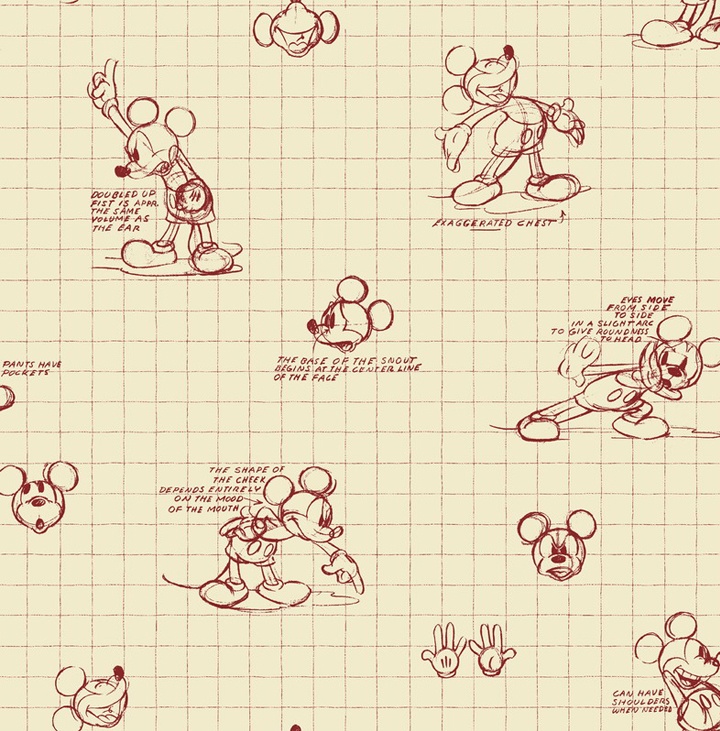 Papel de Parede Infantil DISNEY KIDS YORK 6084