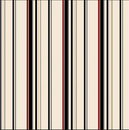 Papel de Parede Infantil BOYS WILL BE BOYS ZB3338